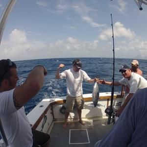 Meet your Posher, Bill